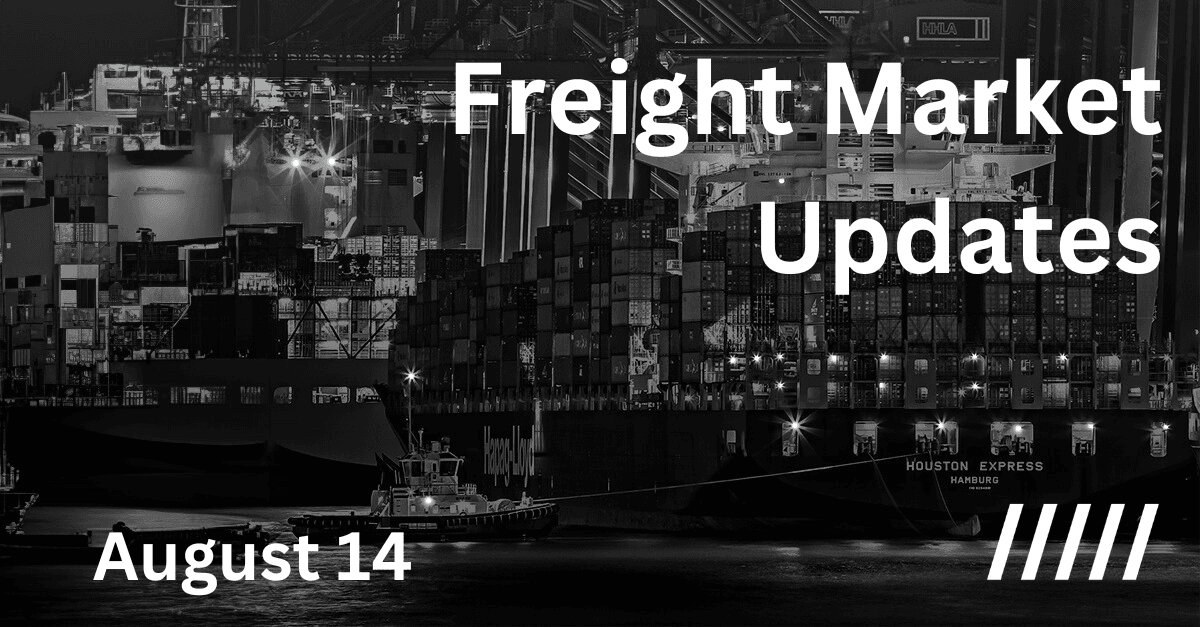 Freight market update - 14 August 2024